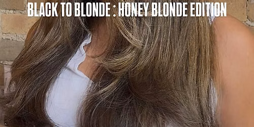 BLACK TO BLONDE: honey blonde edition