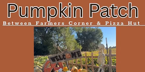 Affordable pumpkin patch 
