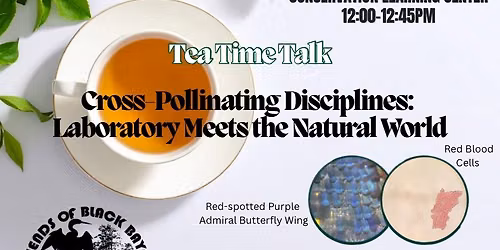 Cross-Pollinating Disciplines: Laboratory Meets the Natural World