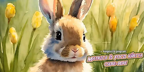 H\u00fasv\u00e9ti j\u00e1tsz\u00f3h\u00e1z