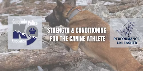 Strength & Conditioning for the Canine Athlete