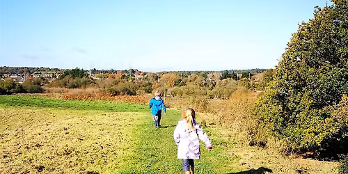 Secrets of the Saxon Walls: A Curious Family Quest