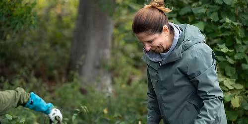Tree-L-C at Loseley Park Farm