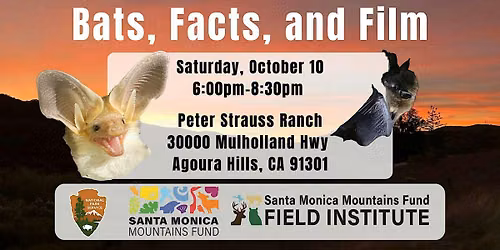 Bats, Facts, and Film