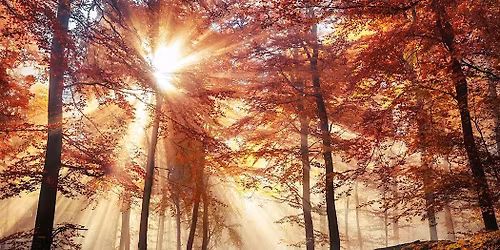 Winter Nature Connection Experience