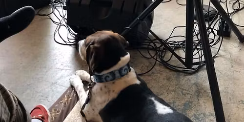 Kevin and Paul at Frog Level Brewing, Waynesville