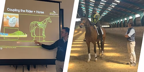 Sadeltilpasning i professionelt perspektiv