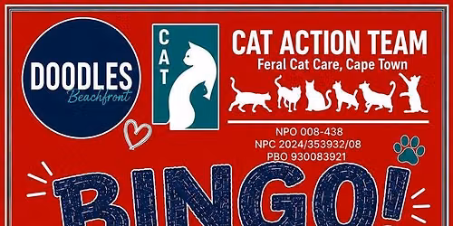 Bingo & Burgers