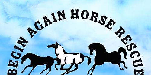 Begin Again Horse Rescue Open House