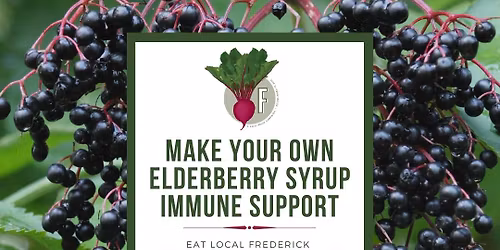 Make Your Own Elderberry Syrup Immune Support