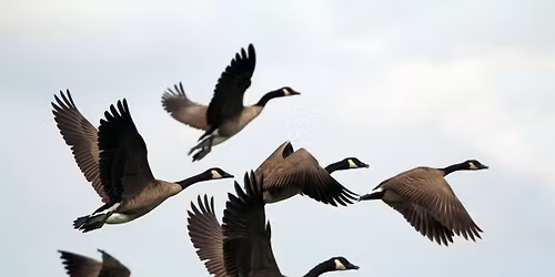 Sharing & Caring Circle