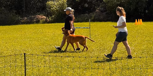 Obedience Pr\u00fcfung 