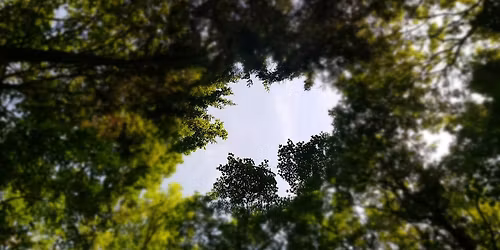 Mindfulness in Nature day at Goodnestone Park