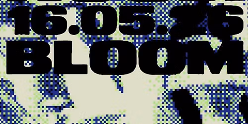 The Mush Room with guest DJ BLOOM