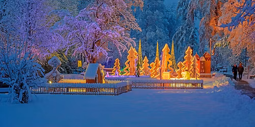 Scheidegger Winterwelten