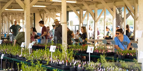 2026 Spring Bi-Annual Plant Sale