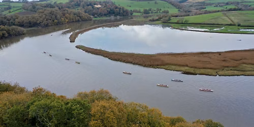 Tamar Challenge 2026
