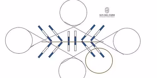 Ground Pole Lesson Richland Riders Club