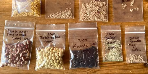 Seed Saving