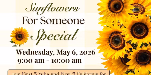 Sunflower For Someone Special