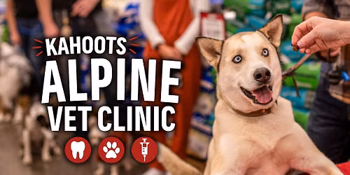 Low Stress Vet Clinic & Teeth Cleaning