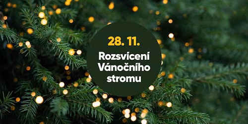 Sobota 28. 11. 2026 \u2013 Rozsv\u00edcen\u00ed v\u00e1no\u010dn\u00edho stromu, Velk\u00e1 \u00dapa