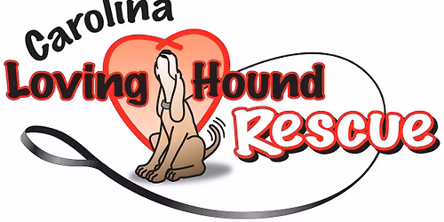 Everything AND the Kitchen Sink Yard Sale!