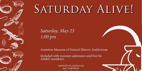 Saturday Alive!