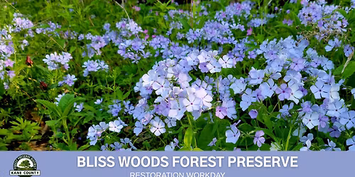 Volunteer Workday - Bliss Woods Forest Preserve