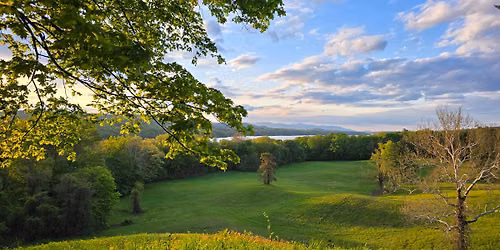 SUMMER Plant Walk; Meet the Plant Medicines of the Season at Vanderbilt Mansion!
