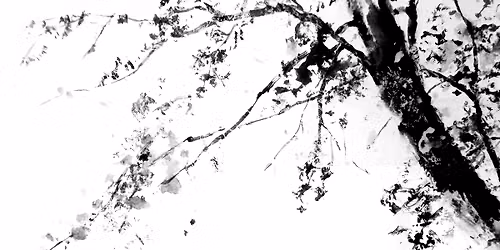 Sumi-e Japanese Ink Painting Workshop | Cherry Blossoms