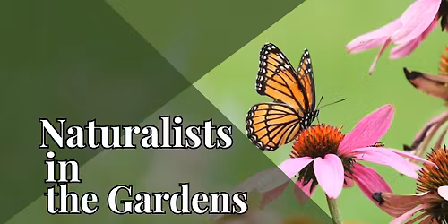 Wisconsin Native Plants Short Course and Plant Walk