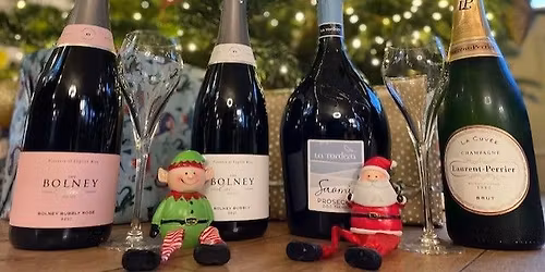 Festive Party Night with Picknmixx DJ