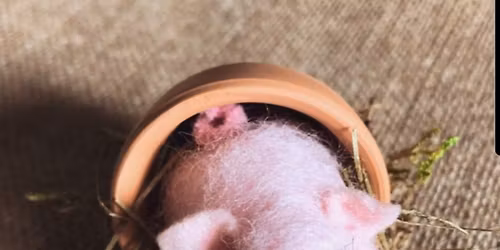 Needle Felting with Lisa Haldeman: Pig