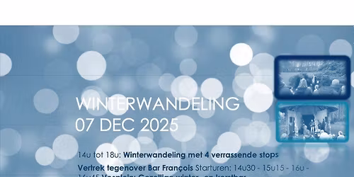 Winterwandeling in het Boelaerpark