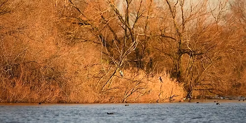 Balade naturaliste : Palette automnale