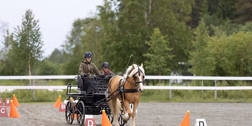 kurs i pressisjonskjøring kurset er fullt og det er mulig å stå på venteliste