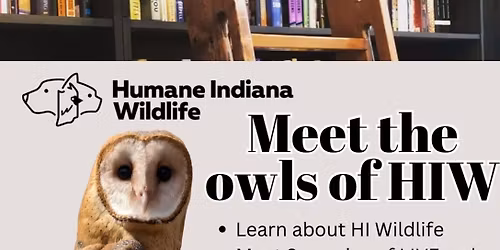 Meet the Owls of Humane Indiana Wildlife