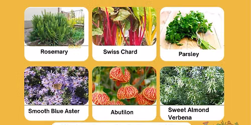 Fall Plant Sale