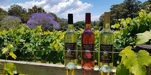 Seniors Festival@theVines