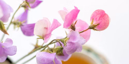 Sonoran Bloom High Tea at The Peak