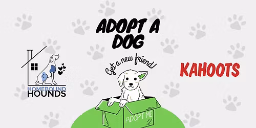 Homebound Hounds Adoption Event at KAHOOTS Solana Beach