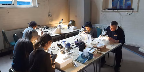 Free Insect biodiversity workshops