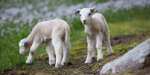 \u00d8verskaudagen 2026