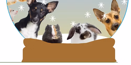 Whisker Wonderland Fundraiser