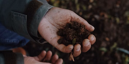 A Clay Soil Survival Guide \u2013 Gardening Talk