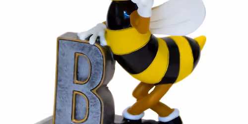 13th Annual WEF Celebrity Spelling Bee