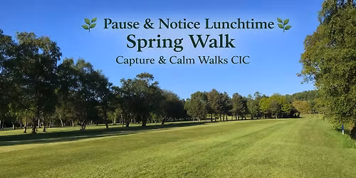 Pause & Notice Lunchtime Spring Walk (Women only)