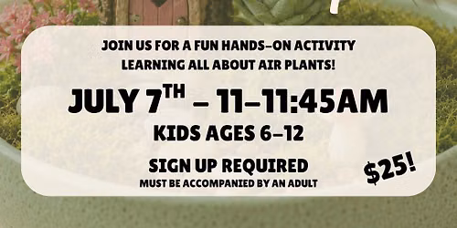 Kids Air Plant Fairy Garden Workshop - Group 2