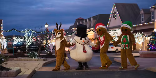 VISIT SANTA & FRIENDS!